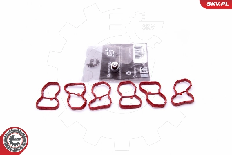 Repair Kit, intake manifold module